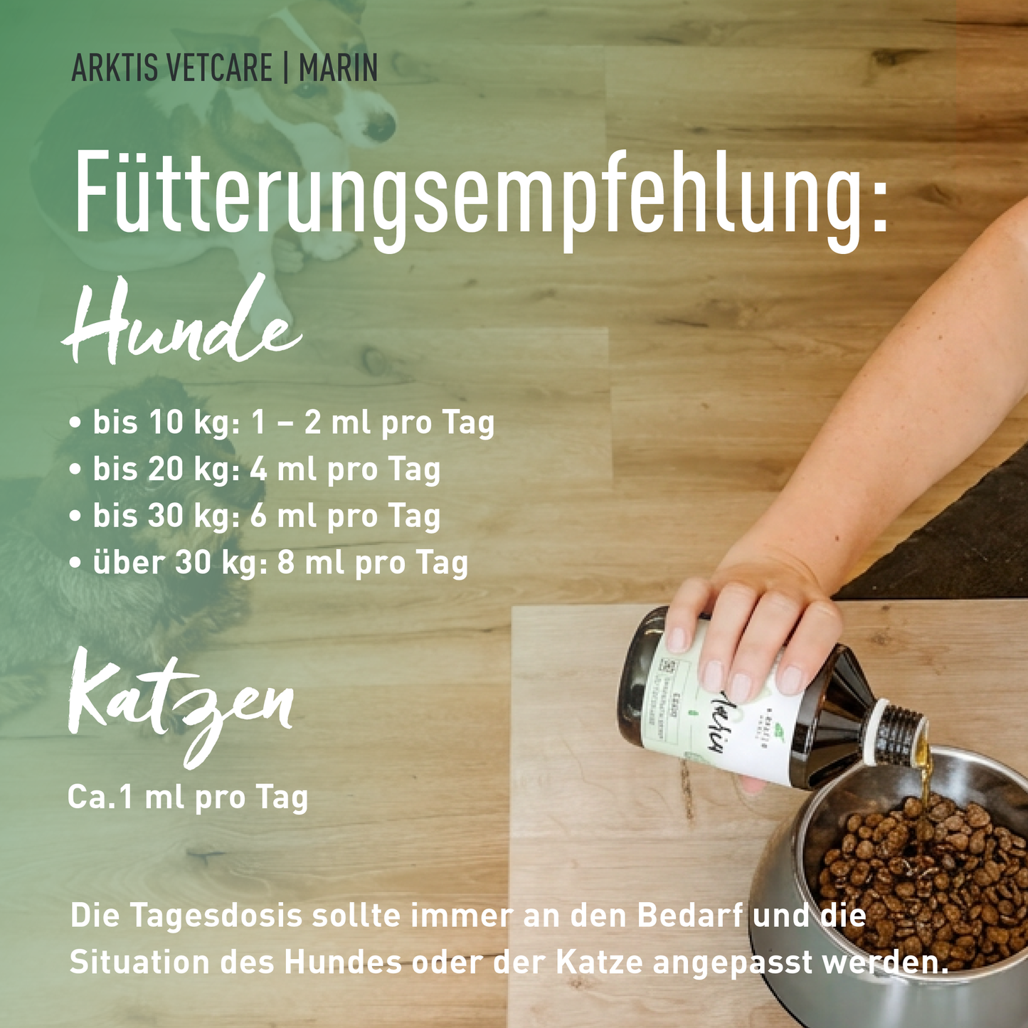 Arktis Vetcare Marin – Lachsöl