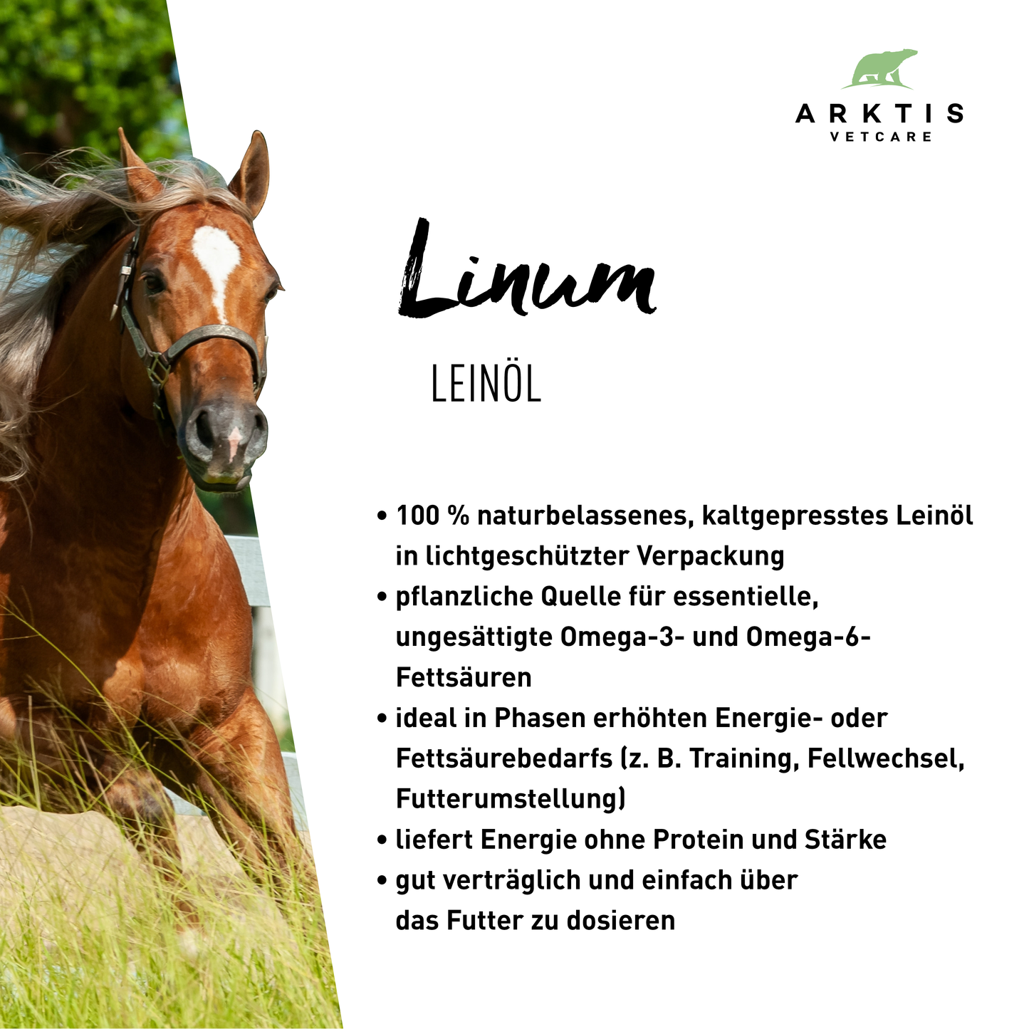 Arktis Vetcare Linum - Leinöl