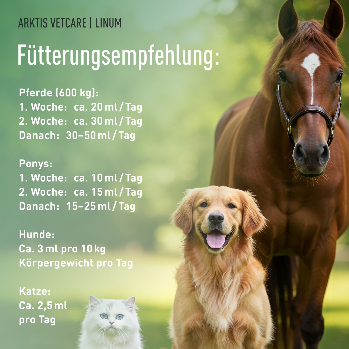 Arktis Vetcare Linum - Leinöl