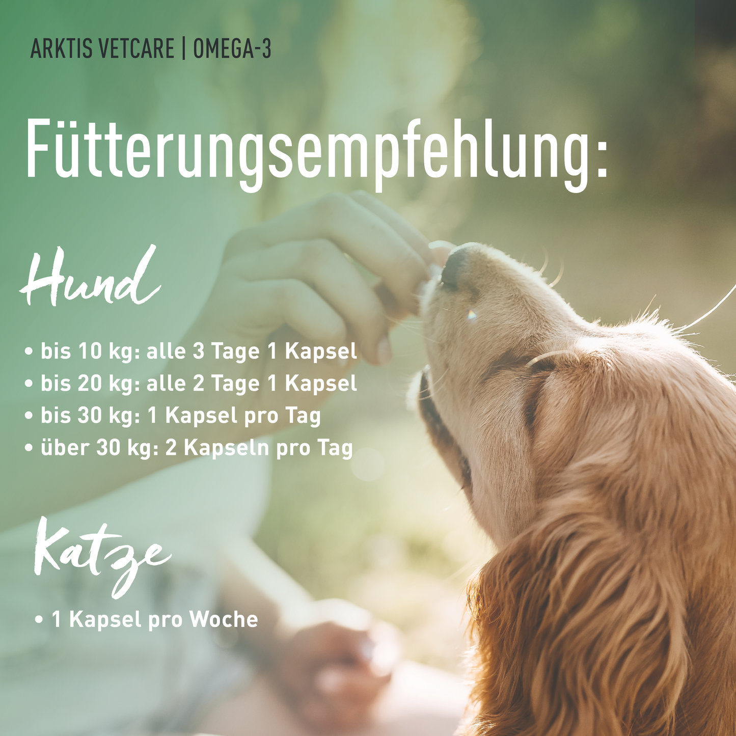 Arktis Vetcare Omega-3 – Fischölkapseln