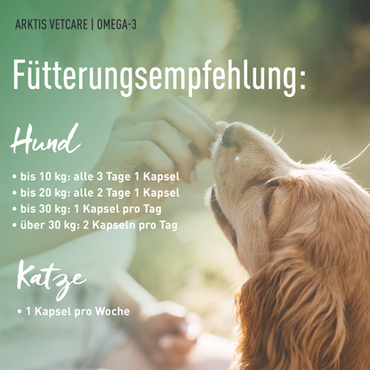 Arktis Vetcare Omega-3 – Fischölkapseln
