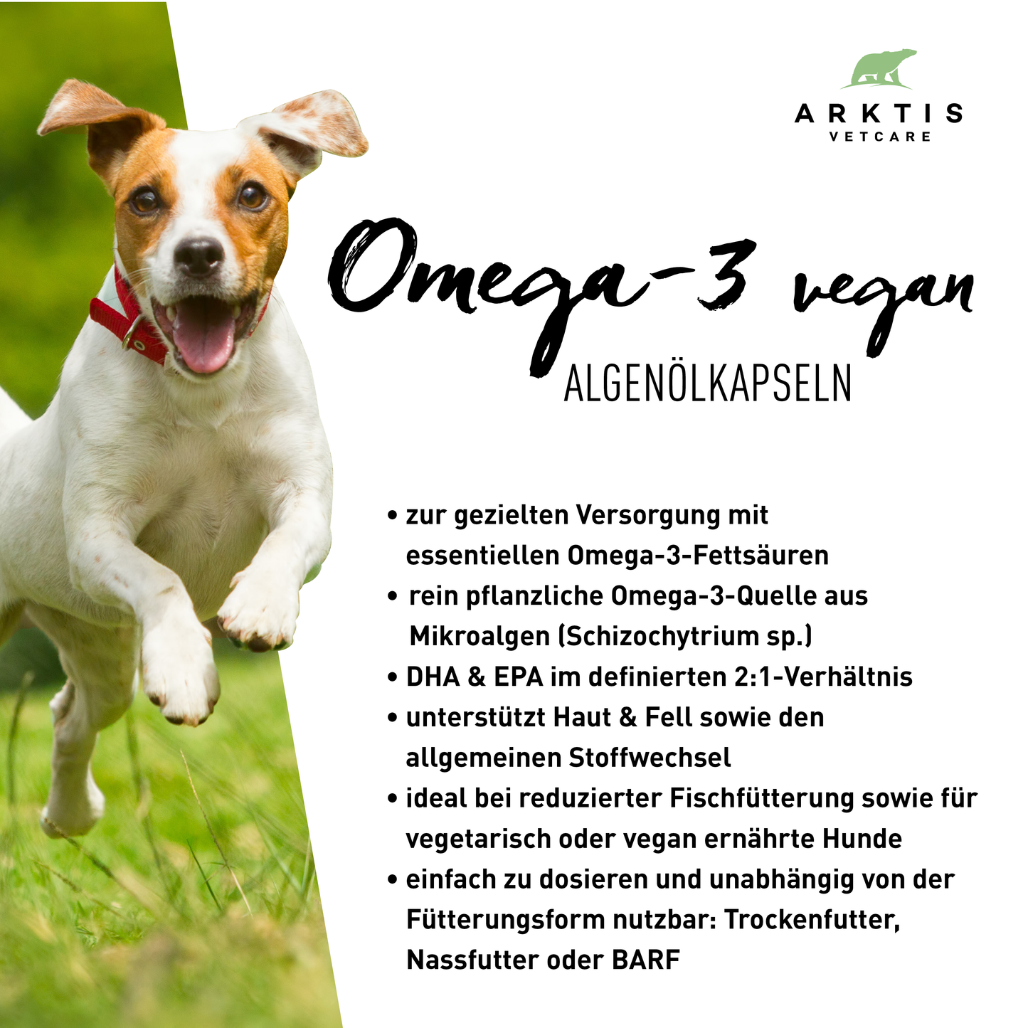 Arktis Vetcare Omega-3 vegan - Algenölkapseln
