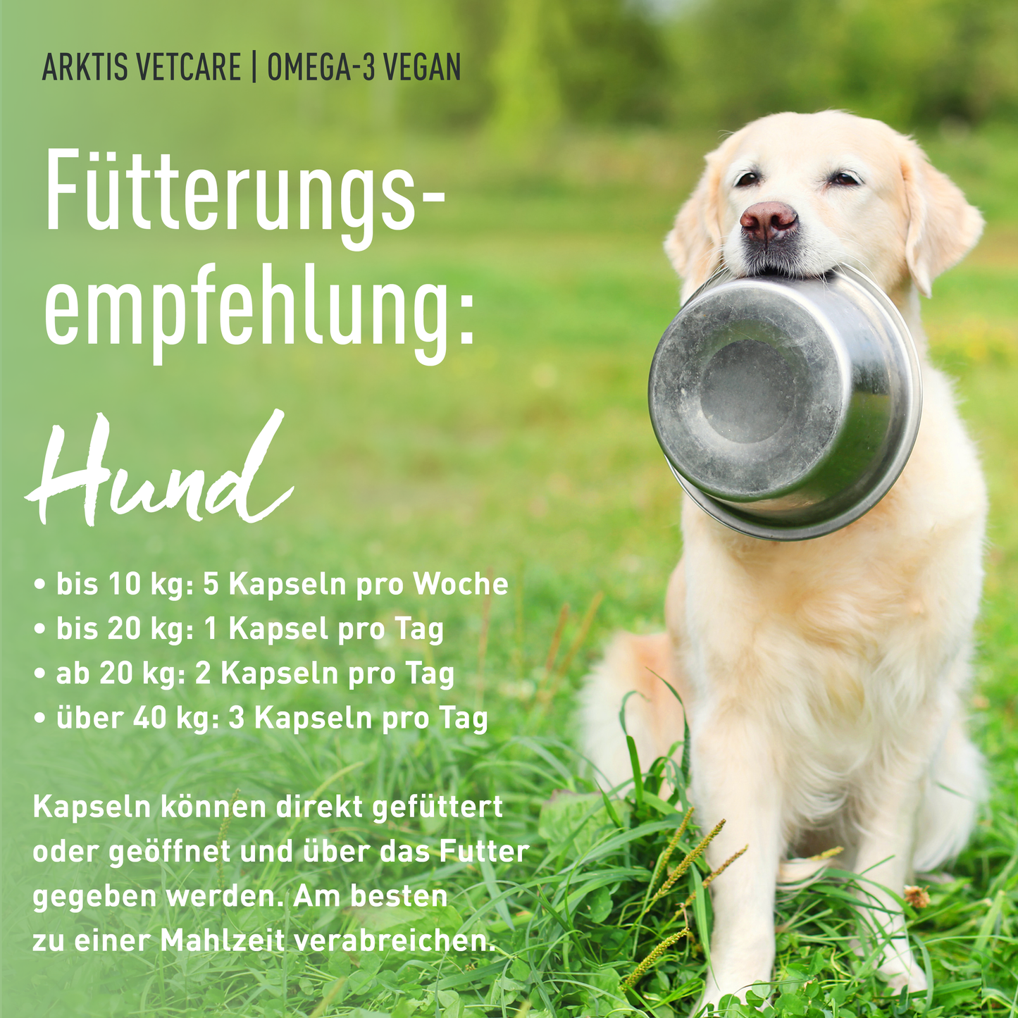 Arktis Vetcare Omega-3 vegan - Algenölkapseln