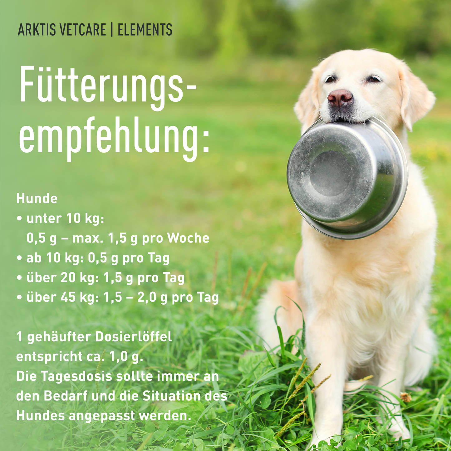 Arktis Vetcare Elements - Mikronährstoffe