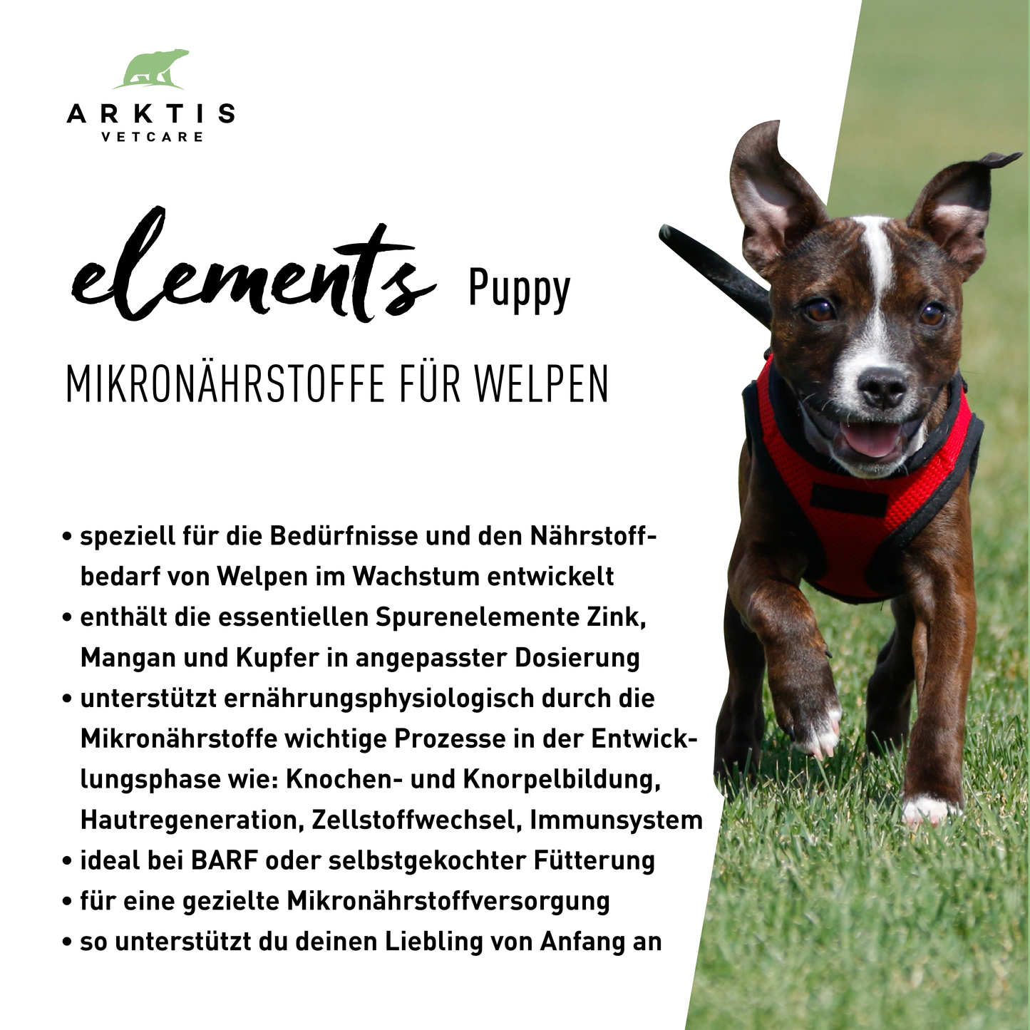 Arktis Vetcare Elements Puppy - Mikronährstoffe für Welpen
