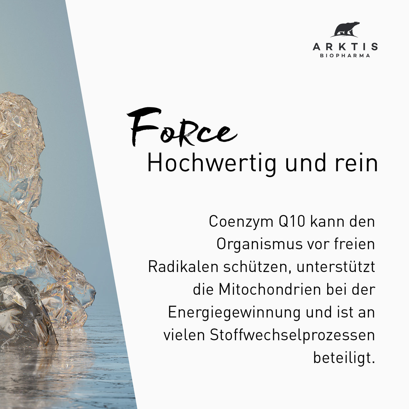 Arktis Force - Coenzym Q10