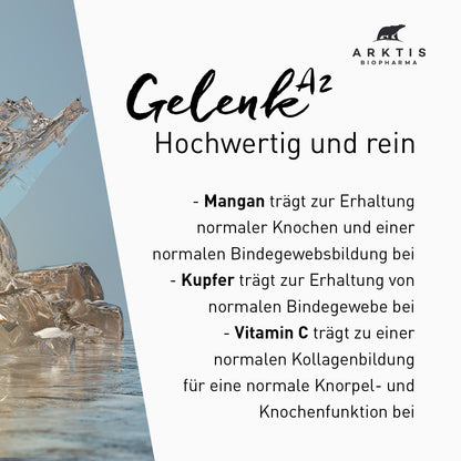 Arktis Gelenk A2