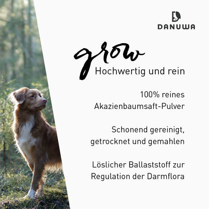 Danuwa Grow Akazienbaumsaftpulver
