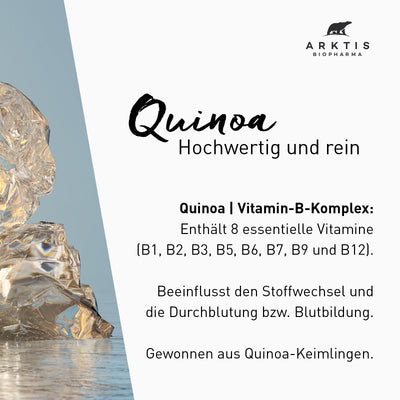 Arktis Vitamin B-Komplex aus Quinoa