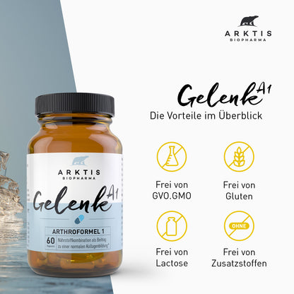 Arktis Gelenk A1
