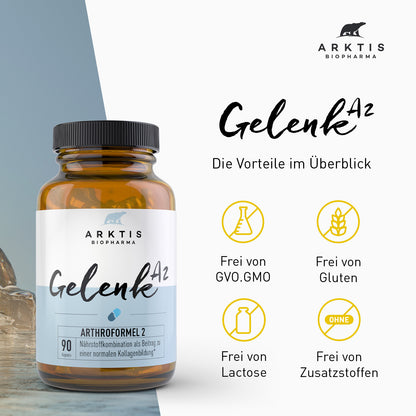 Arktis Gelenk A2