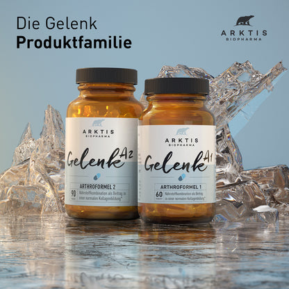 Arktis Gelenk A2
